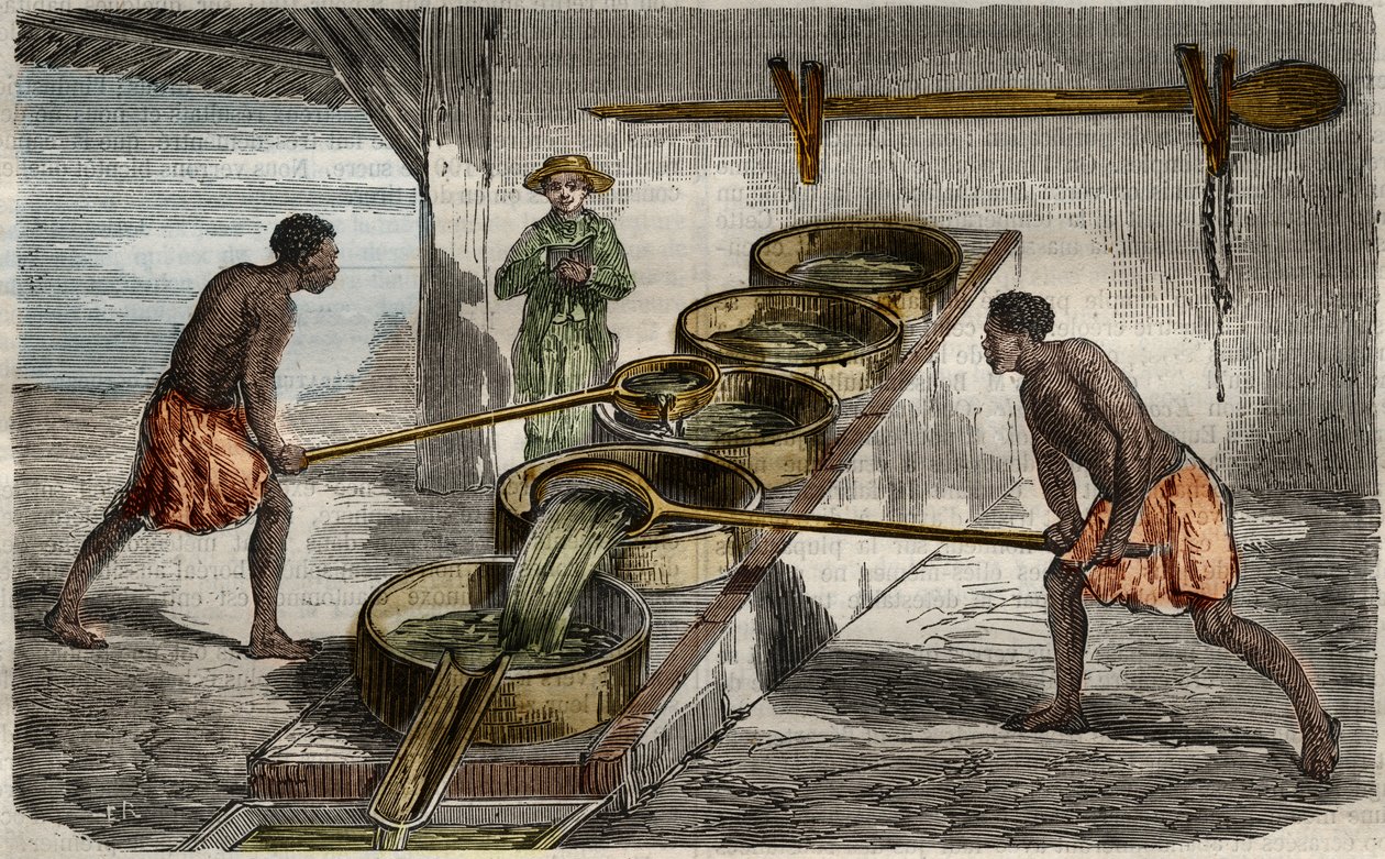 Suikerproductie: ketels om suikerrietsap te koken in een suikerfabriek in West-Indië. Gravure uit 1859 in "Le Musee Des Sciences". door Unknown Artist
