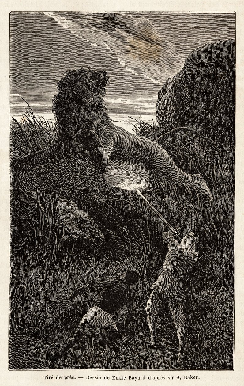 Verrast door een leeuw tijdens de wandeling bij zonsopgang, schiet de auteur en verwondt het dier. Gravure ter illustratie van de verkenning van de Abessijnse zijrivieren van de Nijl, door Sir Samuel W.Baker, in 1861-62, gepubliceerd in 