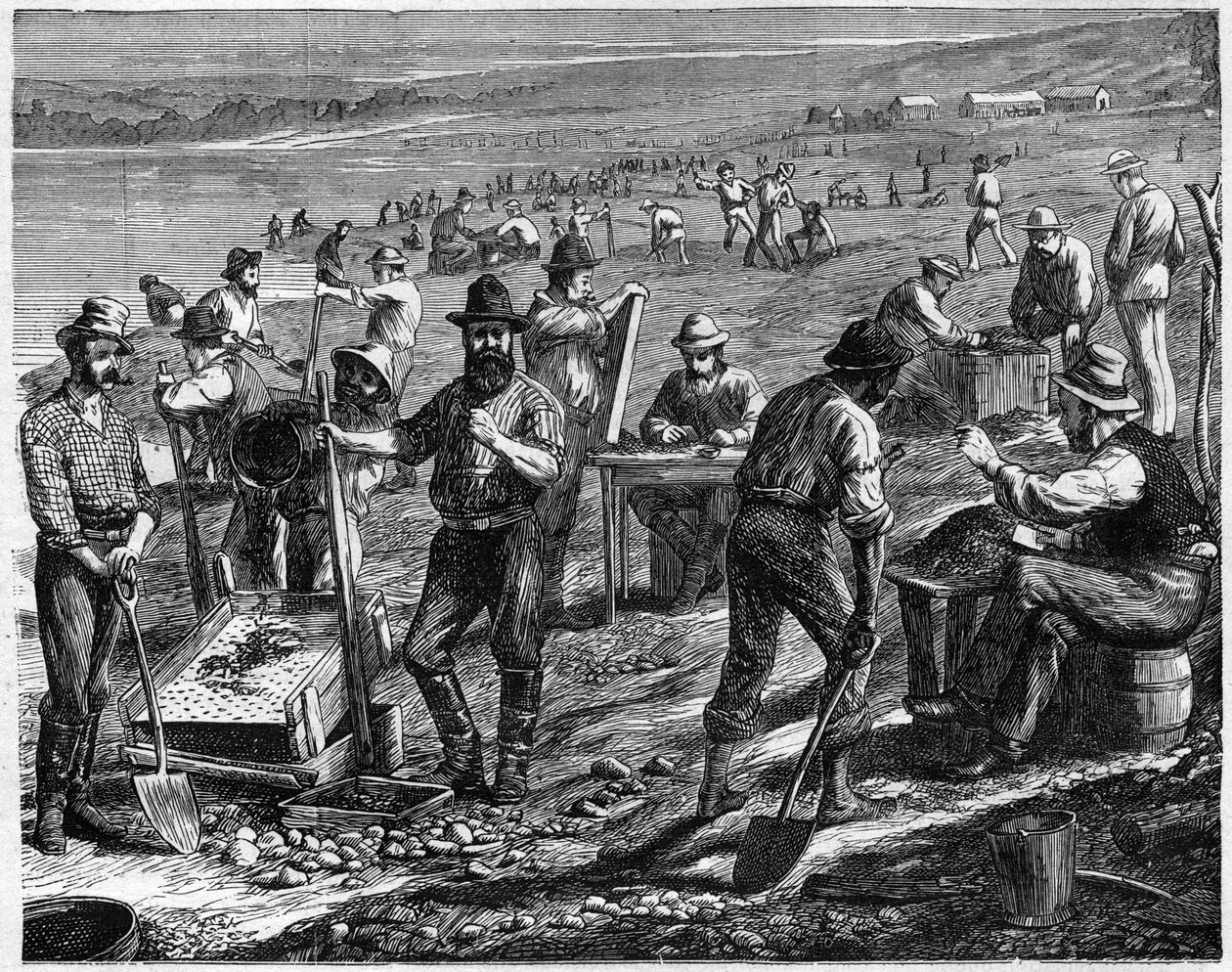 De diamantvelden aan de Kaap - Diamanten wassen in Zuid-Afrika in de 19e eeuw door Unknown artist