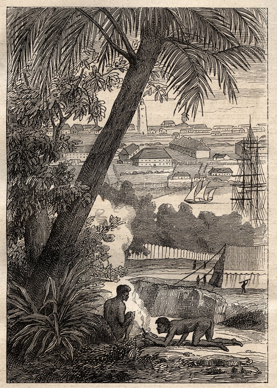 De Expeditie naar de Zuidelijke Landen (1800-1803) door Nicolas Baudin (1754-1803): Uitzicht op Sydney (Australië) - illustratie uit 