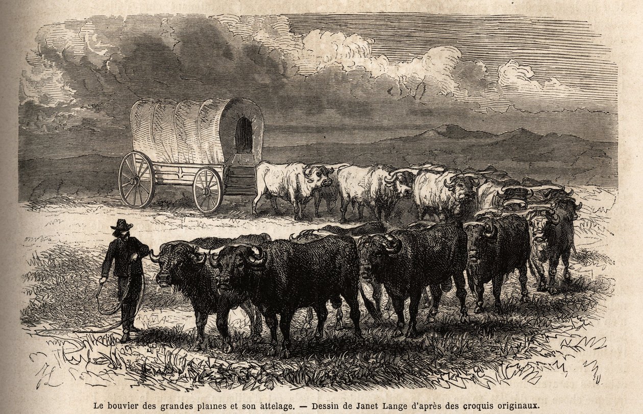 De grote vlaktestier en zijn trek. Gravure ter illustratie van de reis naar het verre westen van Amerika, door M. L. Simonin, in 1867, gepubliceerd in 