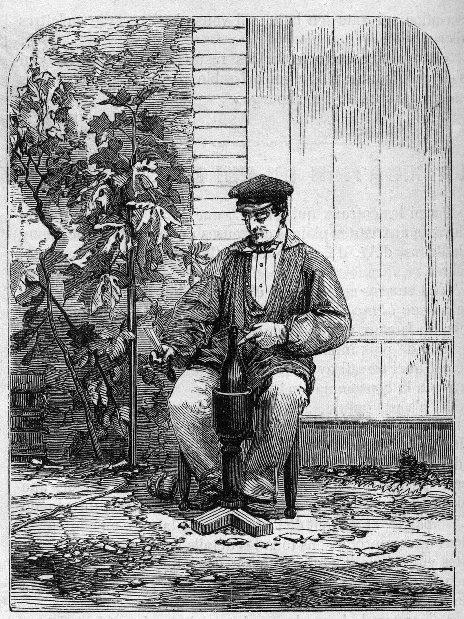 Het bottelen van Champagnewijn. Gravure uit 1864. door Unknown artist