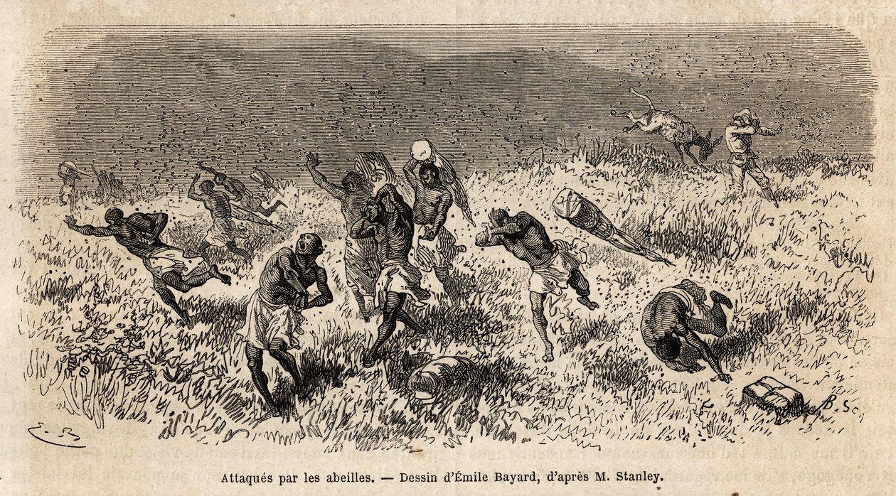 De karavaan van dragers van Henry Morton Stanley