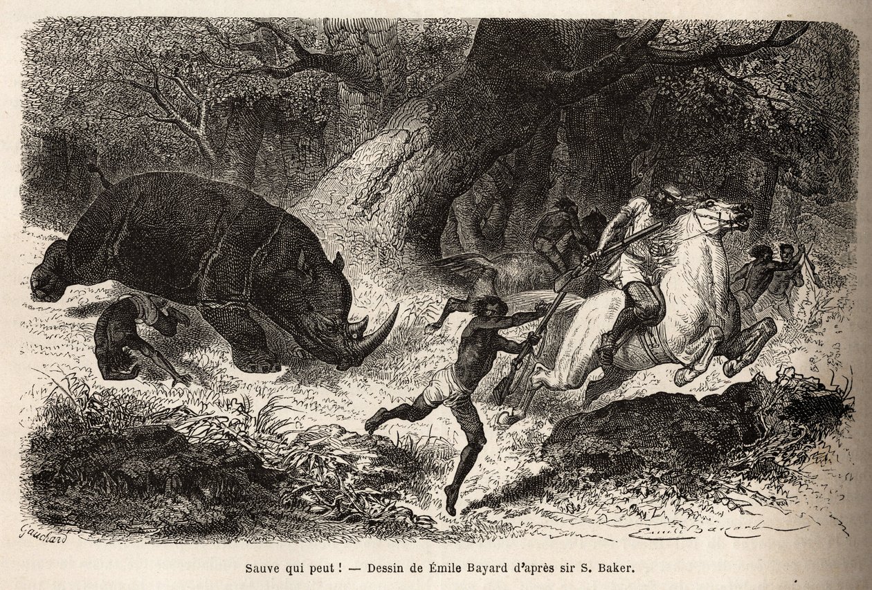 De aanval van de neushoorn die de jagers omverwerpt en in de val lokt, tijdens de zoektocht naar de auteur en zijn gidsen. Gravure ter illustratie van de verkenning van de Abessijnse zijrivieren van de Nijl, door Sir Samuel W.Baker, in 1861-62, gepubliceer door Unknown artist