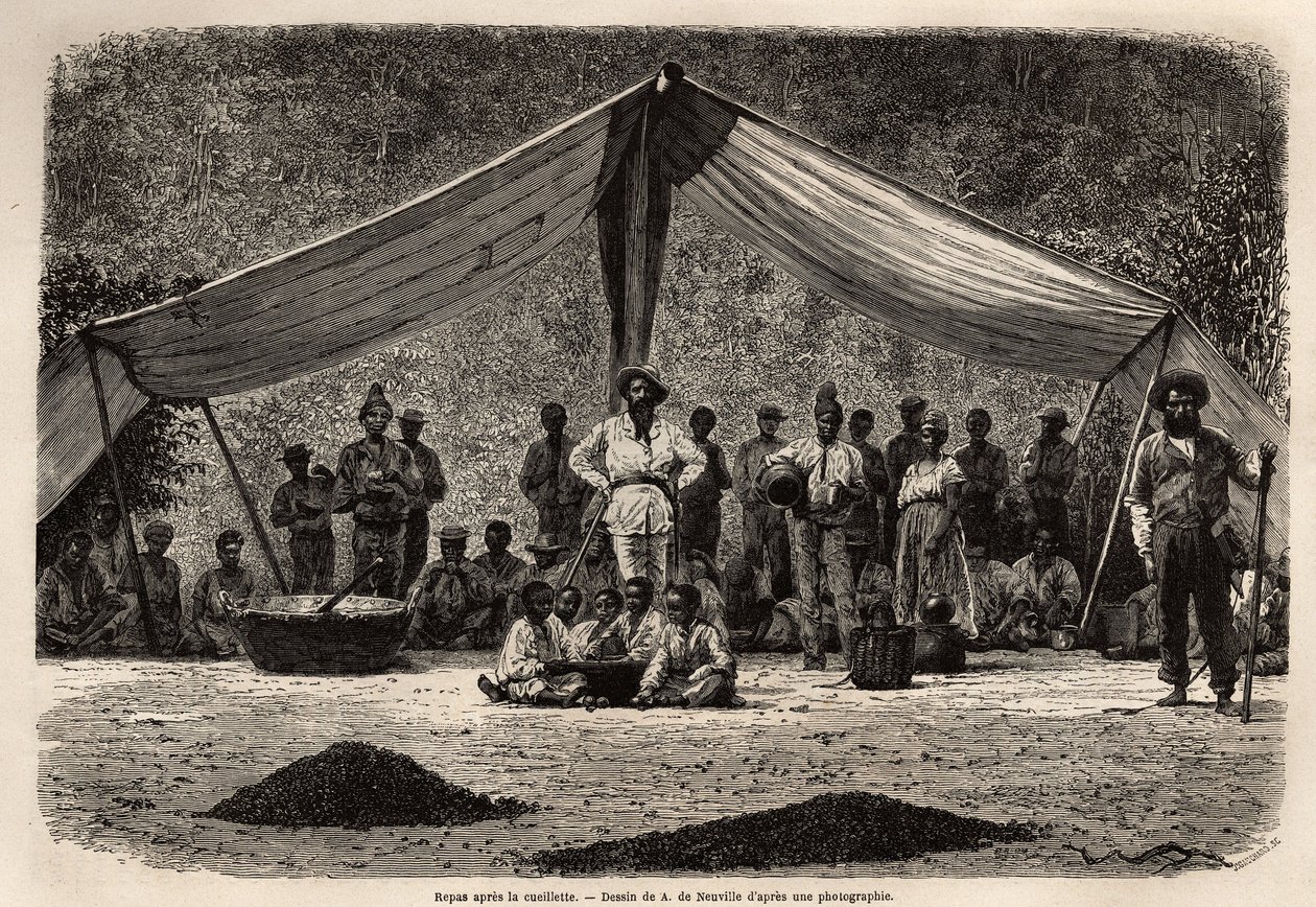 De gemeenschappelijke maaltijd van de arbeiders na het verzamelen van koffiebonen, die op de grond drogen op de voorgrond; in het midden van de afbeelding, de eigenaar van de plantage sluit en draagt een witte hoofdbedekking. Gravure ter illustratie van de door Unknown artist