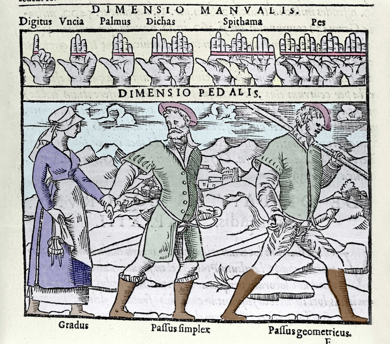 De lengtemaat gebruikt in de 16e eeuw. Boven: digitus (vinger of duim), palmus (handpalm of empan = 4 vingers), pes (voet = 4 vinnen). Onder: Gradus (enkele stap), Passus (dubbele stap) simplex en Passus geometricus. Gravure uit de Cosmographia door Petrus door Unknown artist