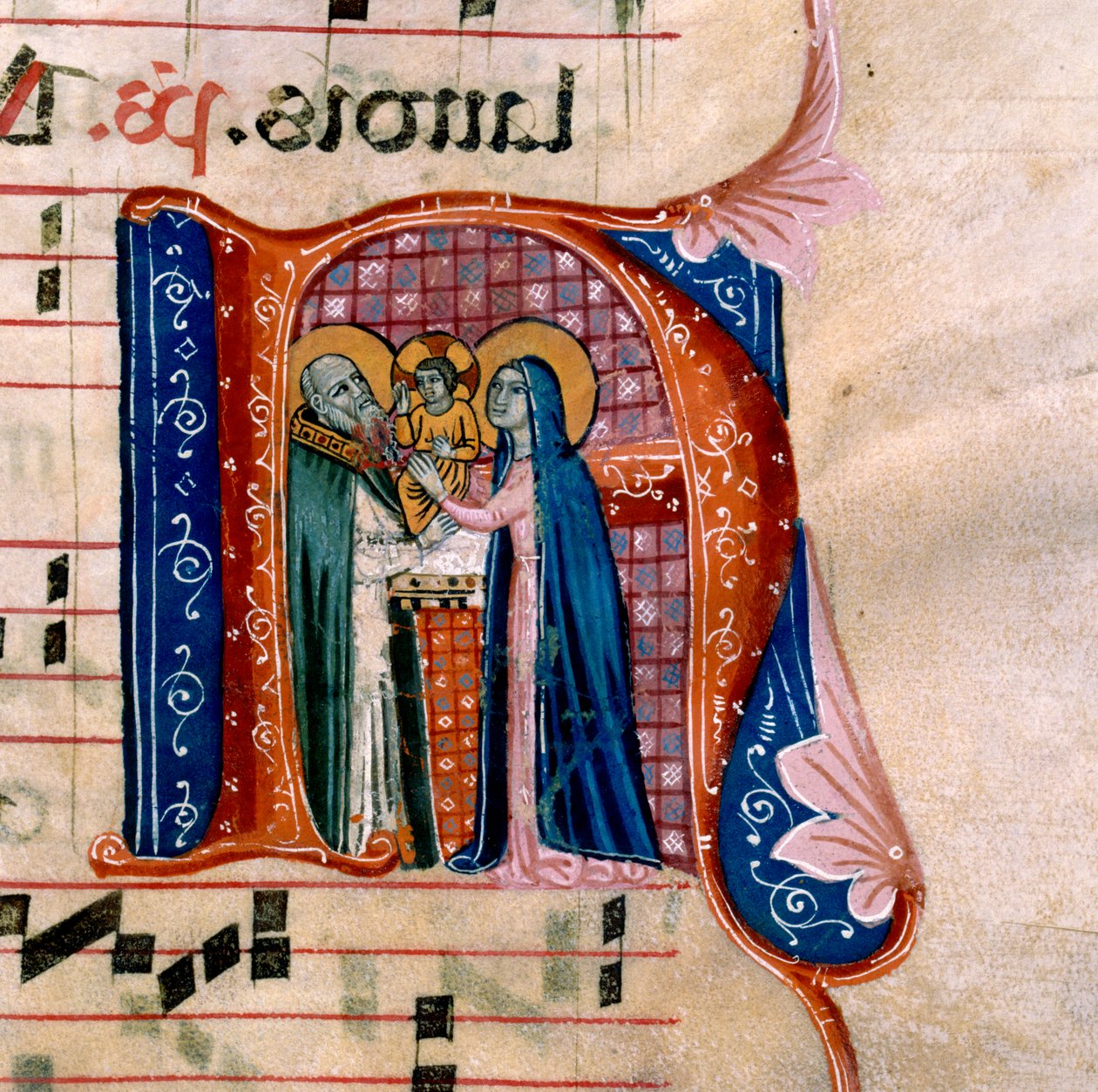 De letter "N" met een afbeelding van de Presentatie in de Tempel: f.36v van het Antifonarium door Unknown artist