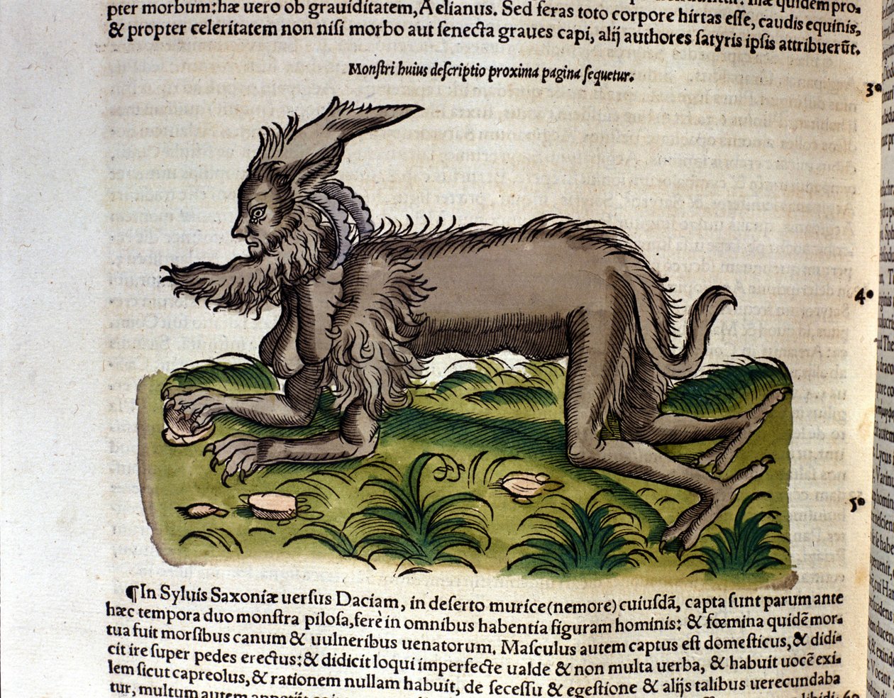 De manticore uit de Historia Animalium door Conrad Gesner, Tiguri 1560. Biblioteca nazionale Braidense, Milaan door Unknown artist