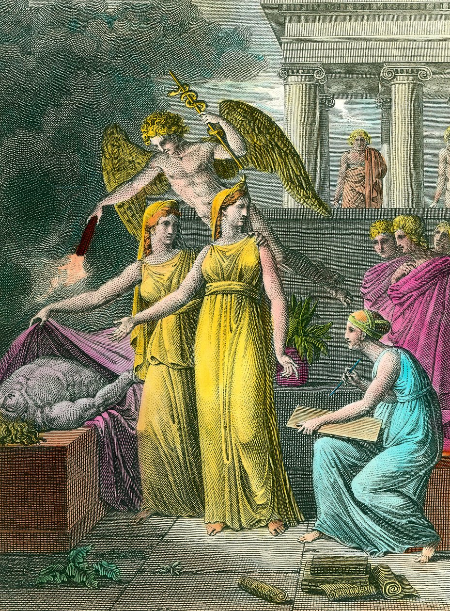 De geneeskunde geleid door de studie heeft nieuwe anatomische observaties door Unknown artist