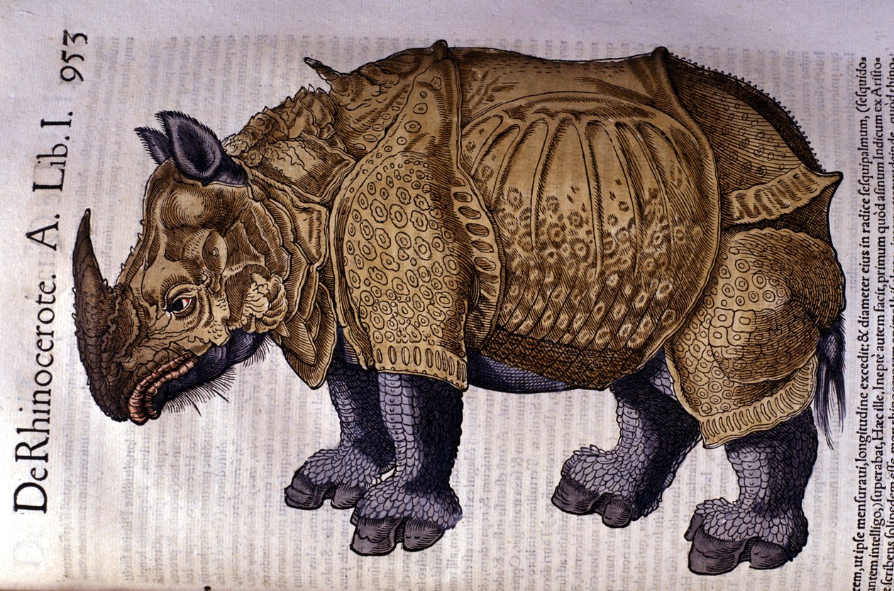 De neushoorn na 