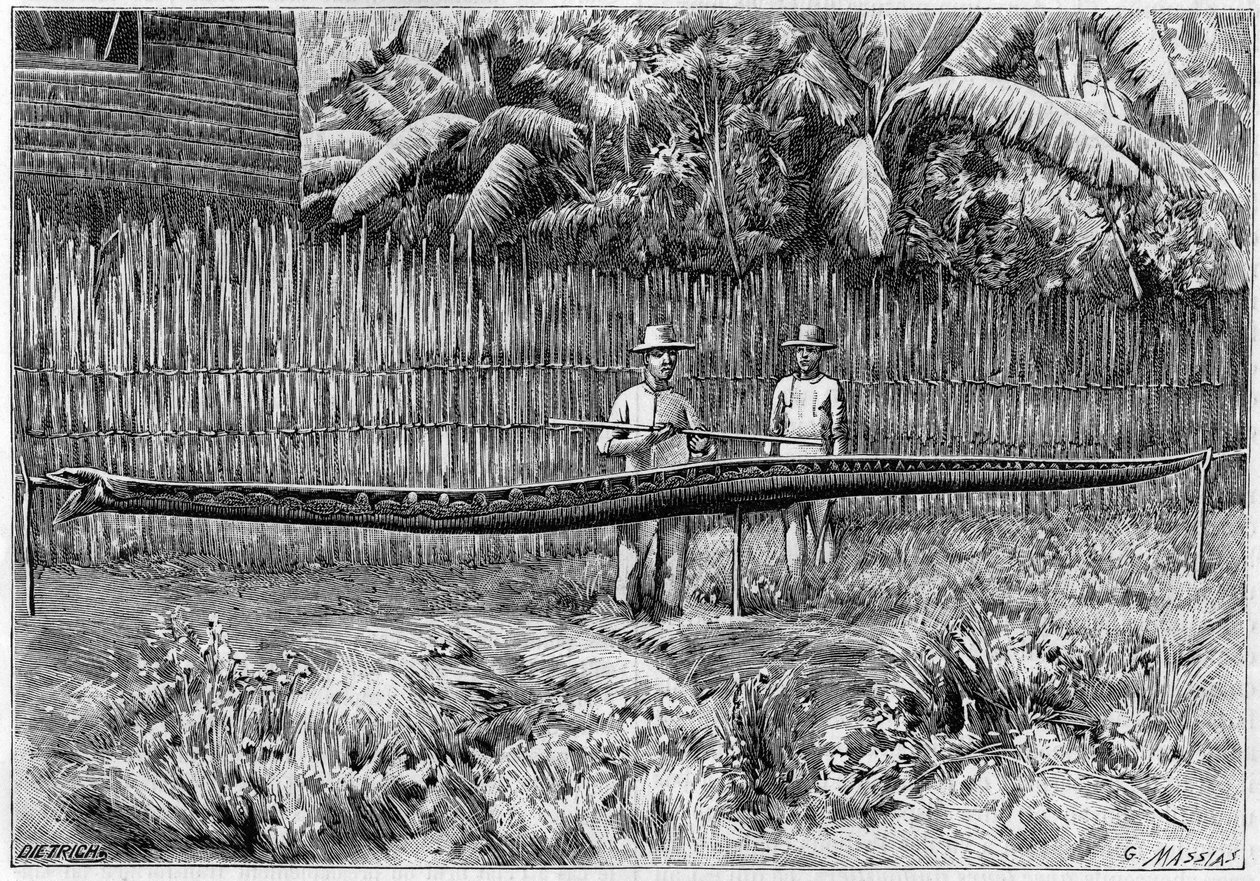 De huid van een Python slang, 6,60 m lang, gevangen op de Filipijnen. (Van een foto). Gravure in "La Nature: revue des sciences et de leurs applications aux arts et a l
