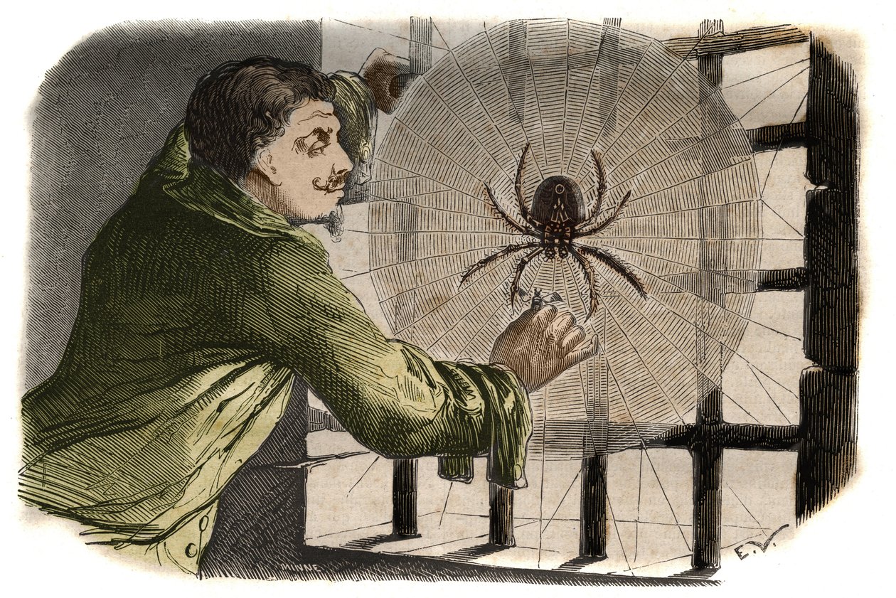 De schrijver Paul Pellisson (Paul Pellisson-Fontanier) (1624-1693) temt een spin tijdens zijn gevangenschap in de Bastille. Gravure uit 1858 in "Le Musée Des Sciences" door Unknown artist