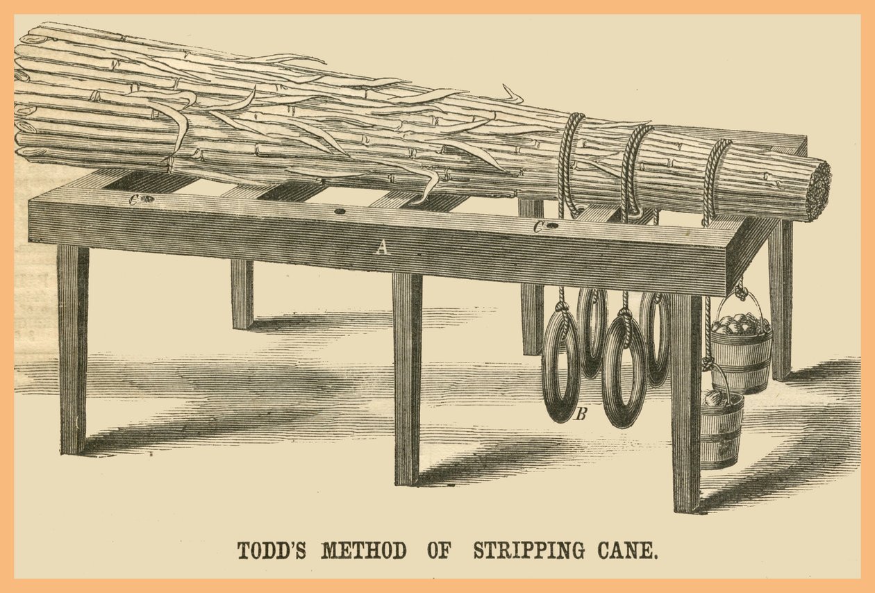 Todds methode om riet te strippen door Unknown Artist