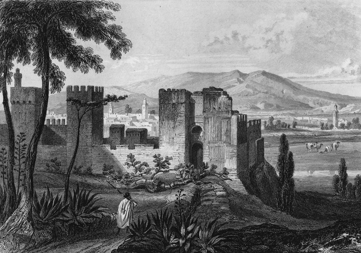 Uitzicht op de omheining van Tlemsen (of Tilimsen) in Algerije in de 19e eeuw. In 