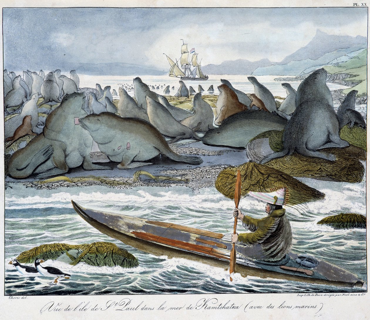 Uitzicht op het eiland St. Paul in de zee van Kamtsjatka met zeeleeuwen door Unknown artist