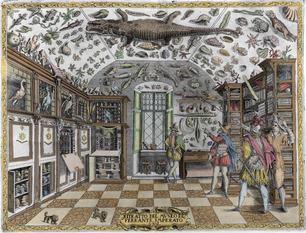 Zicht op het museum (kabinet) van curiositeiten (encyclopedisch museum) van de apotheker Ferrante Imperato (1550 - 1631). Gravure uit 1678. Museum van de Napolitaanse apotheker Ferrante Imperato. door Unknown artist