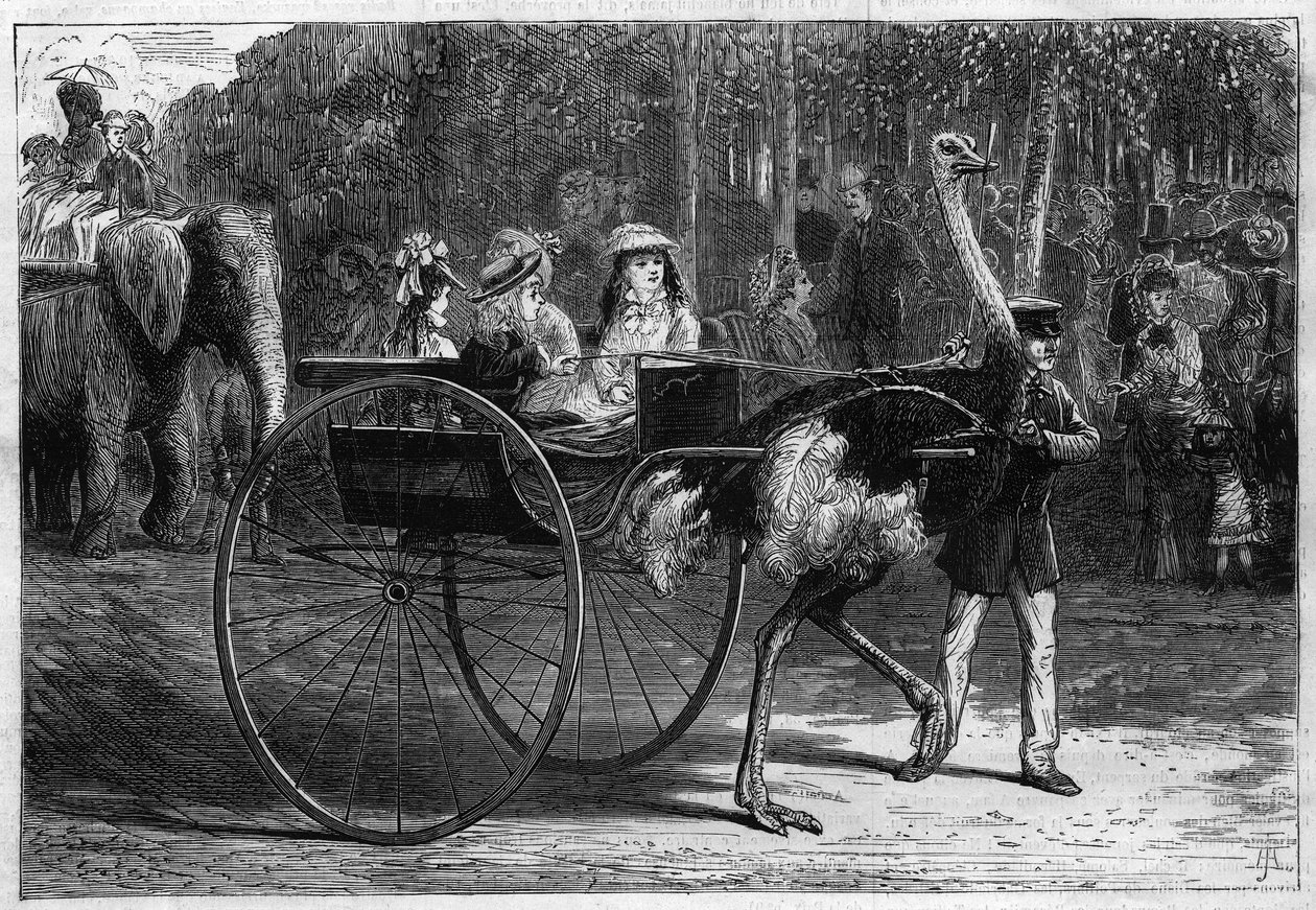Wandeling op de rug van een olifant en kinderen in een cariola getrokken door Oostenrijkers. Tuin van Acclimatisatie van het Bois de Boulogne in Parijs door Unknown artist
