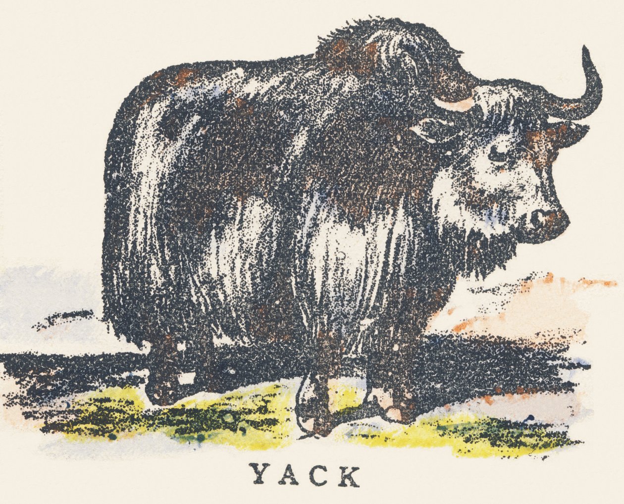 Y: jak door Unknown artist