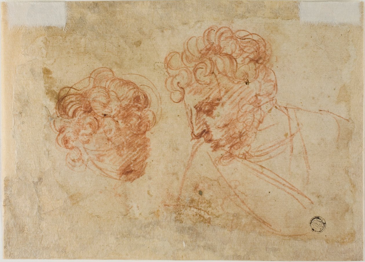 Twee schetsen van hoofden (recto); Twee schetsen van gedrapeerde vrouw (verso) door Unknown Florentine
