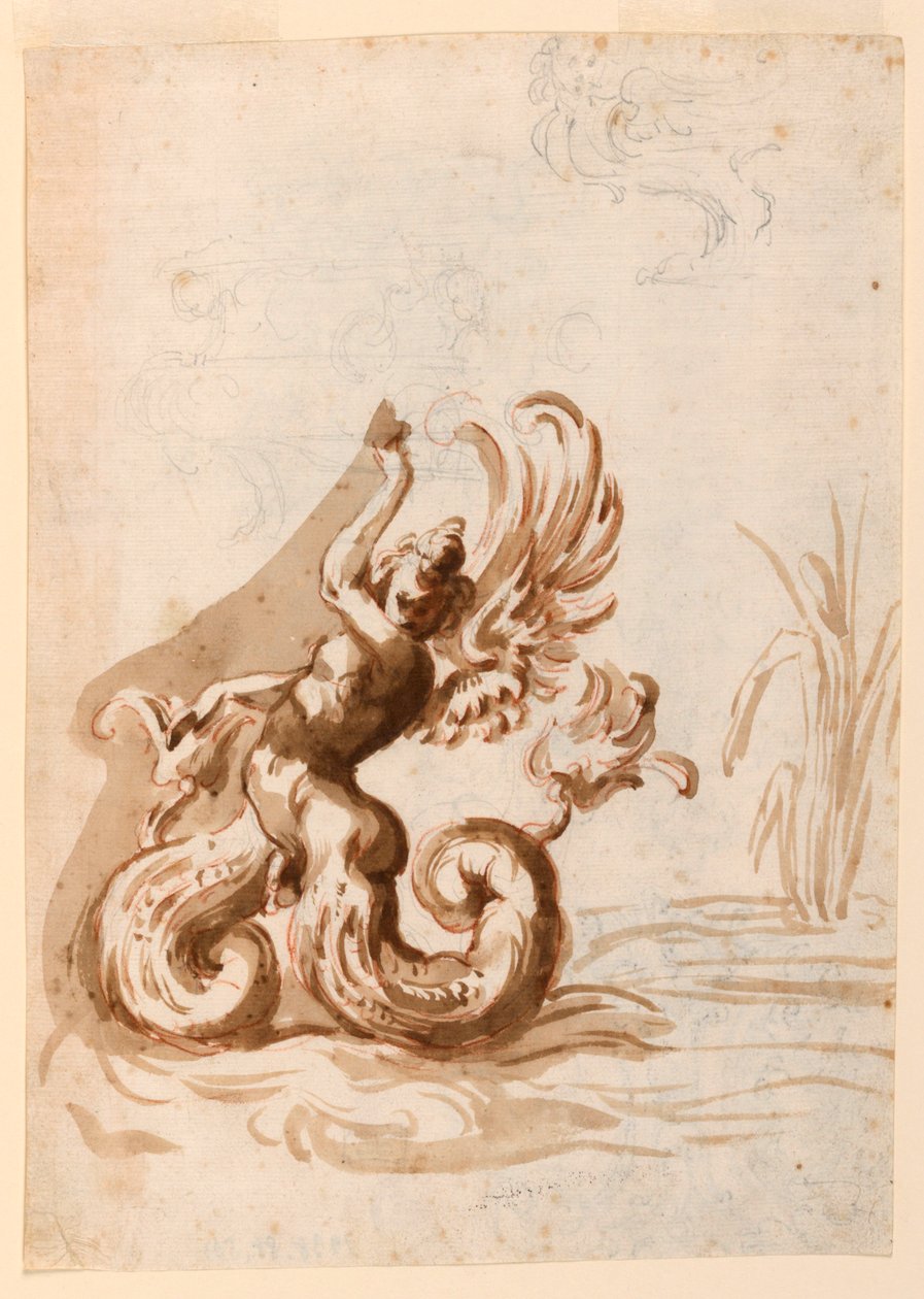 Een gevleugelde Mer-hermafrodiet en schetsen voor een kom door Unknown artist