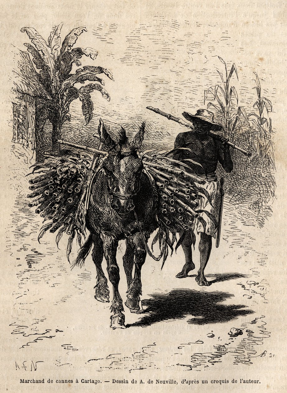 Een rietverkoper en zijn muilezel in Cartago (Costa Rica), de enige handelaar die de lege straten van de stad animeert. Gravure ter illustratie van de reis naar Nieuw-Granada, door Dr. Saffray, in 1869, gepubliceerd in 
