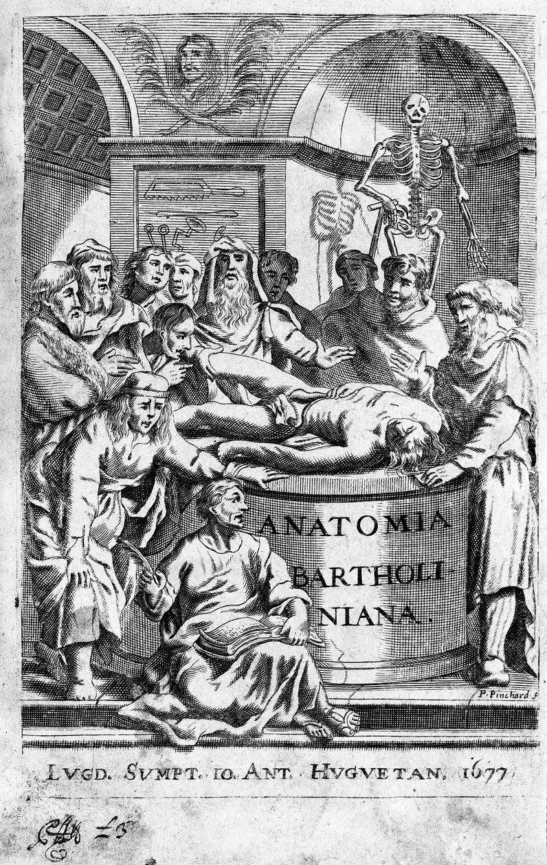 Een anatomieles. Frontispice uit 