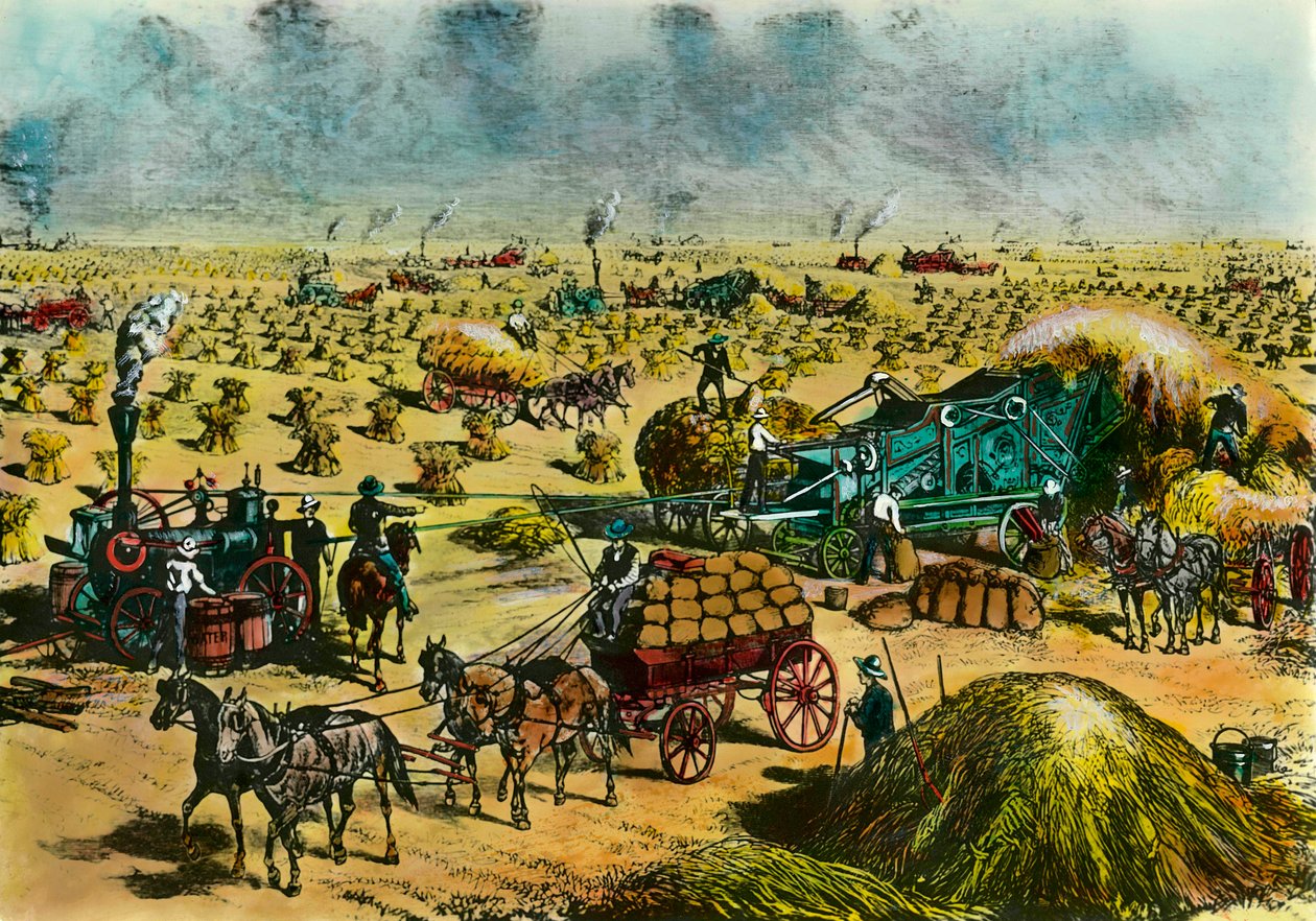Agrarische revolutie: tarwe oogsten in Dakota met stoommachines in de 19e eeuw door Unknown artist