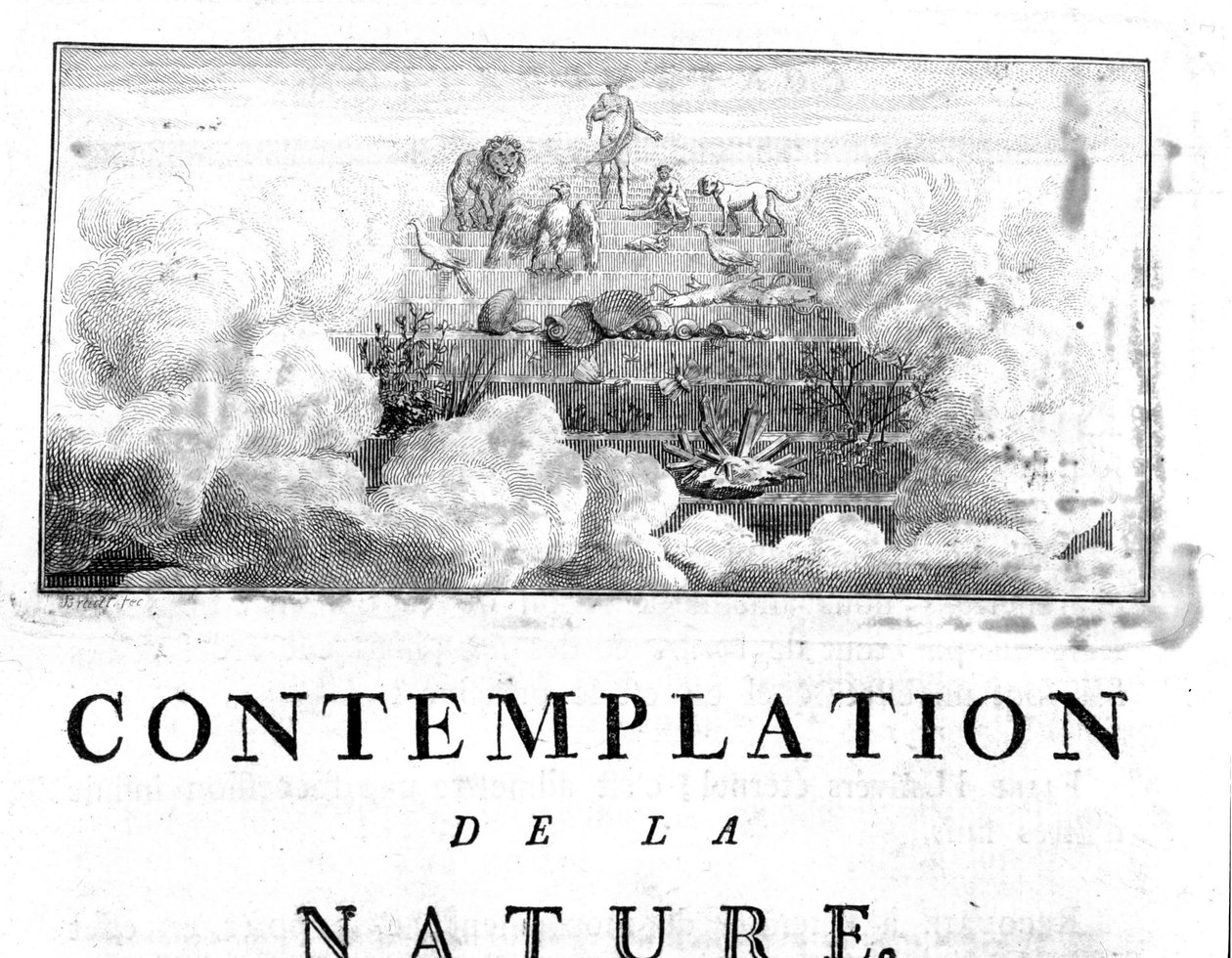 Allegorische voorstelling van de evolutie van de mens van mineralen, via planten- en diersoorten. Charles Bonnet, Contemplation of Nature, Neuchatel door Unknown artist