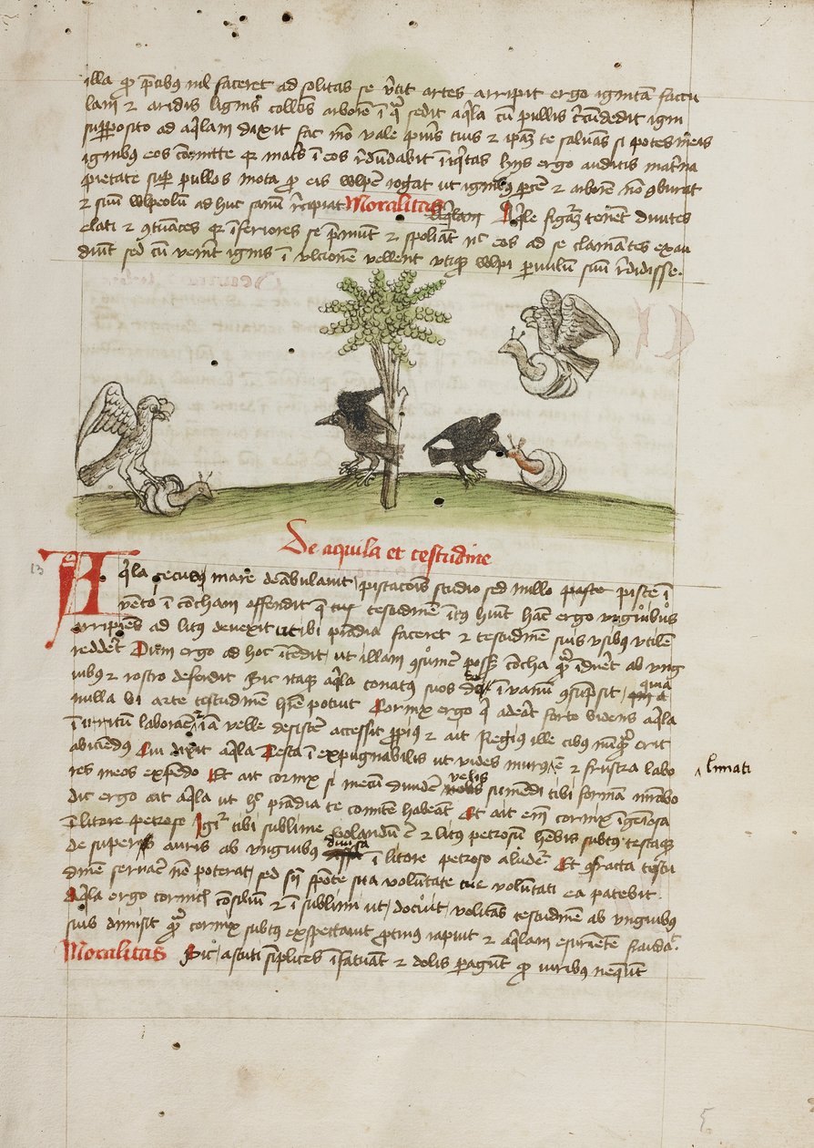 Een adelaar grijpt een slak; een kraai pikt naar een slak door Unknown artist