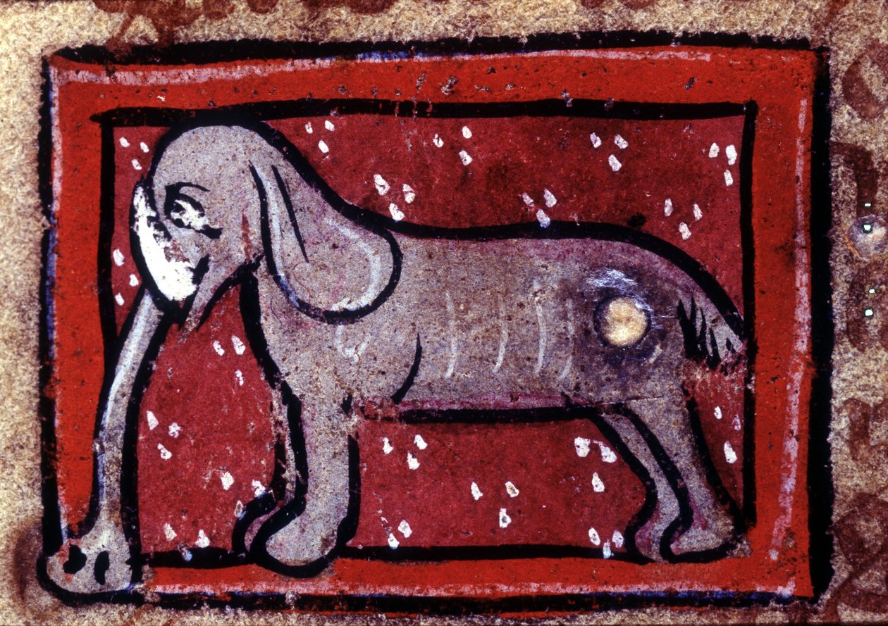 Een olifant - bestiarium van de 14e eeuw. Milaan, Biblioteca Trivulziana door Unknown artist