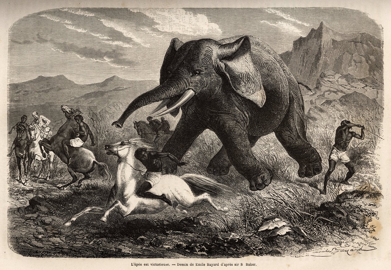 Een olifant eindigt de troep die hem achtervolgde en laadt de jagers te paard, terwijl een van de jagers zijn arm richt om hem te stoppen en af te maken met een moeras. Gravure ter illustratie van de verkenning van de Abessijnse zijrivieren van de Nijl, do door Unknown artist