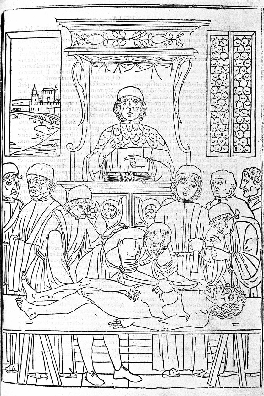 Anatomische dissectie. Gravure uit een verhandeling over geneeskunde door Gerolamo Cardano, Florence door Unknown artist