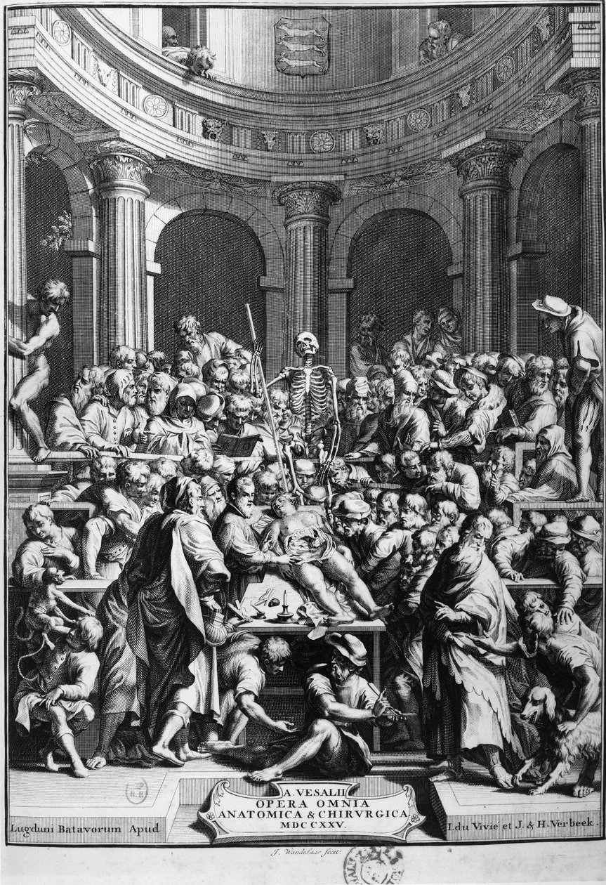 André Vesalius (1514-1564), grondlegger van de moderne anatomie, leraar anatomie en chirurgie door Unknown artist