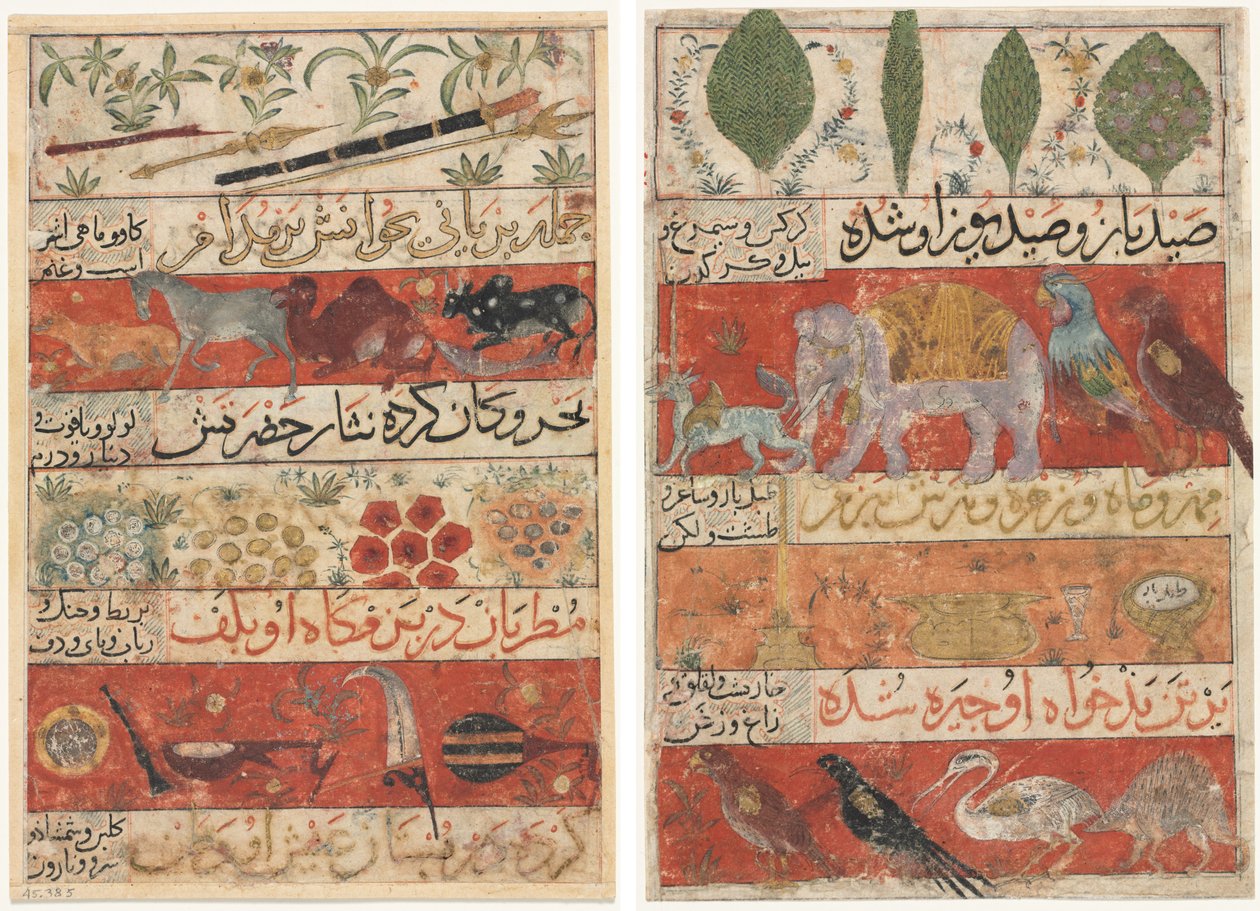 Dieren, edelstenen, munten en muziekinstrumenten (recto); Dieren, vogels en planten (verso) uit een Mu