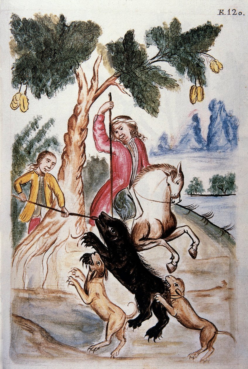 Berenjacht, uit het boek 