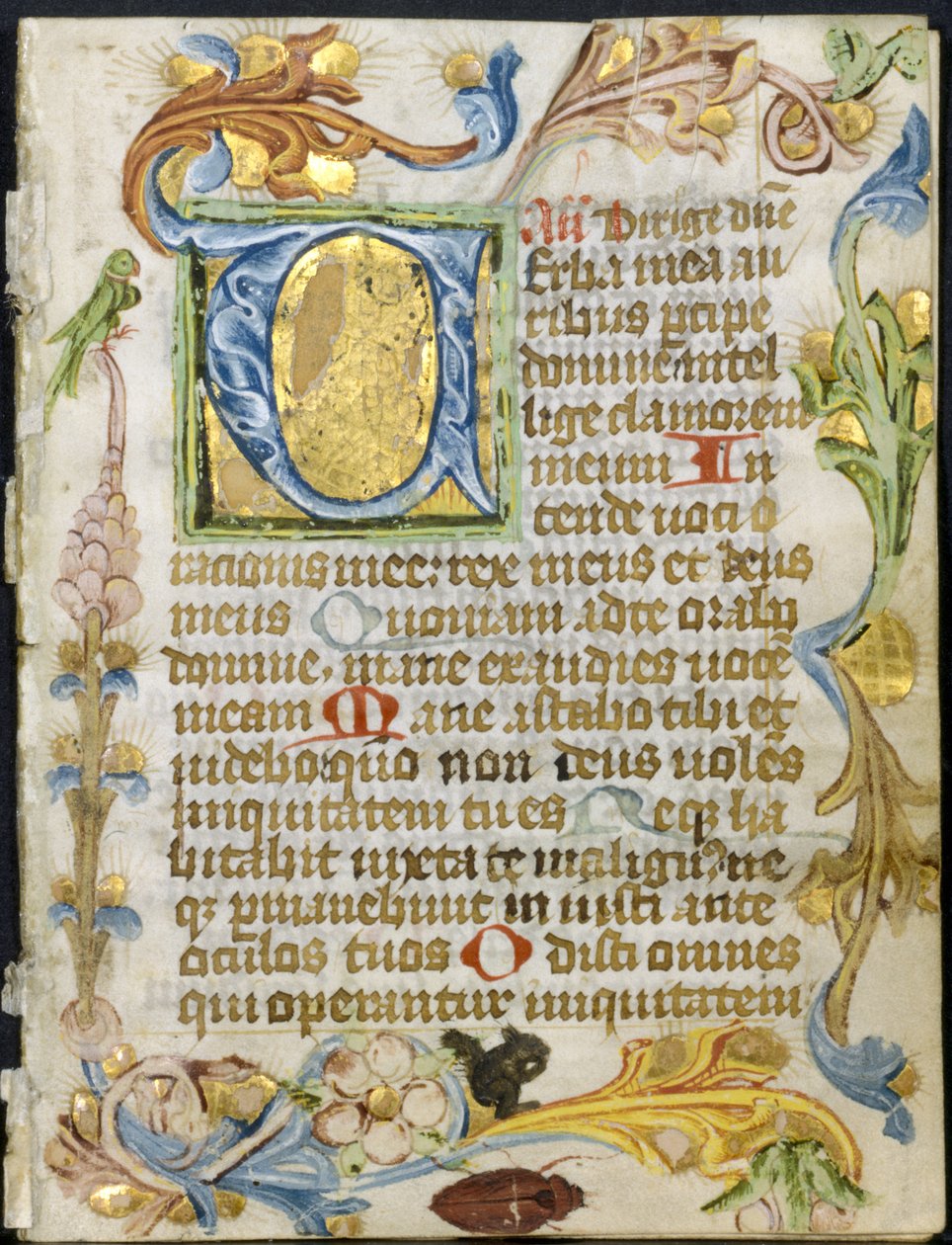 Bifolio uit een Getijdenboek: Initiaal V met Bloemenrand door Unknown artist