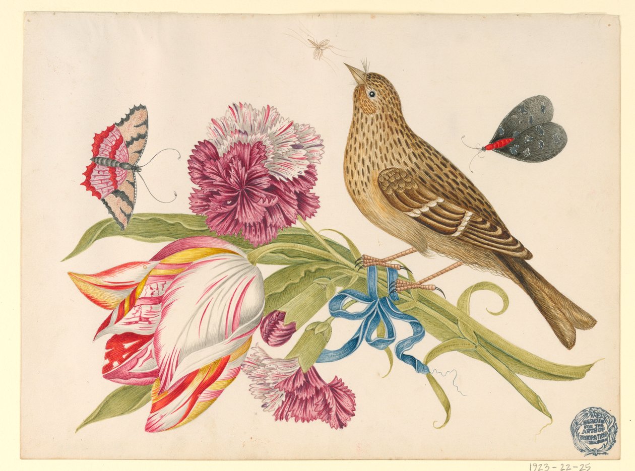 Vogel met Tulp, Anjer, Vlinders en Insect door Unknown artist