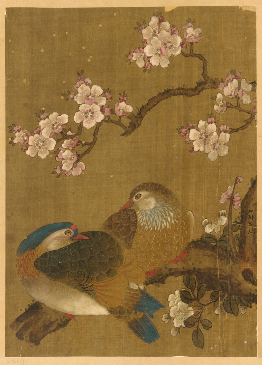 Vogels en Pruimenbloesems door Unknown artist