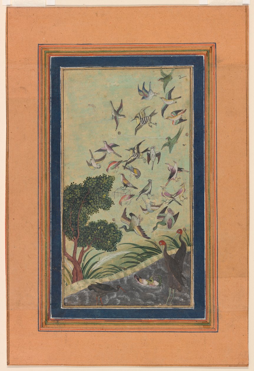 Vogels bij Baran, mogelijk uit de Babur-nama door Unknown artist