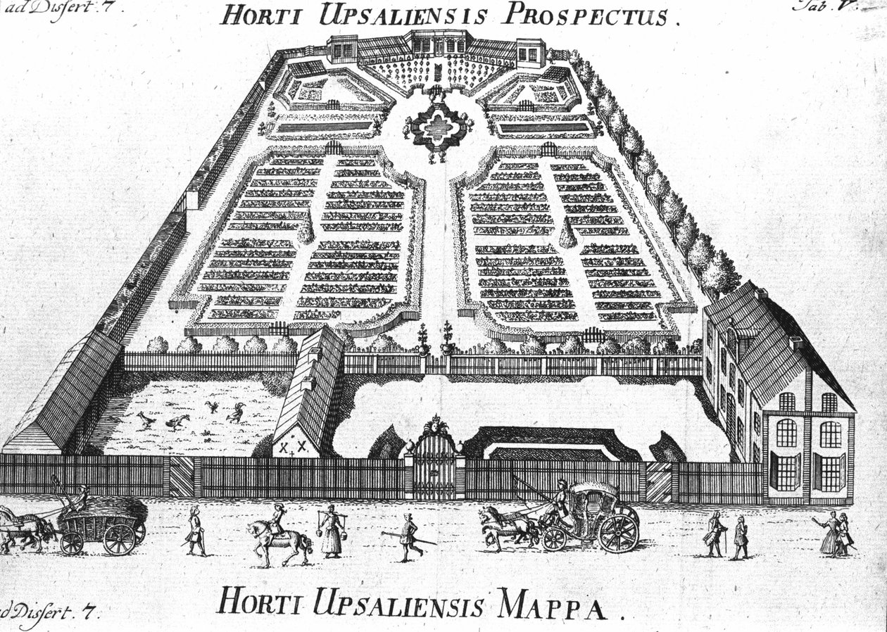 Botanische tuin - HORTI UPSALIENSIS perspectief en plan. door Unknown artist