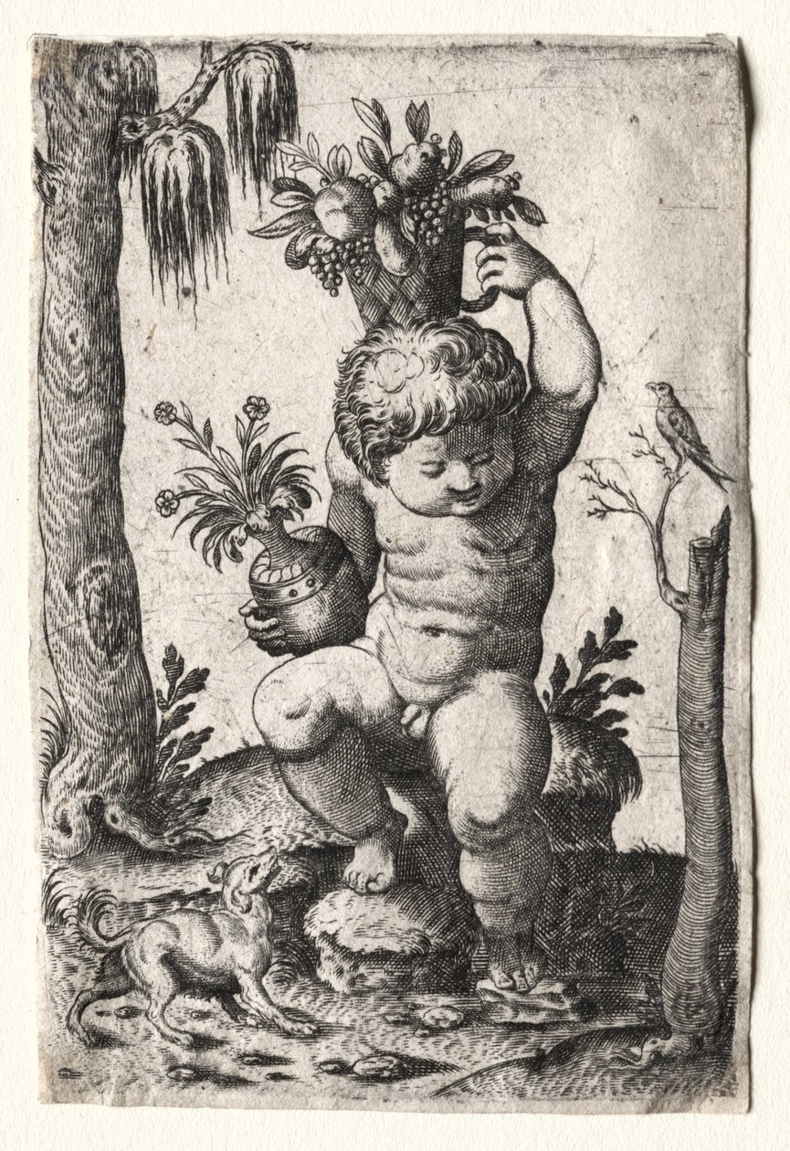 Jongen met Fruitmand door Unknown artist