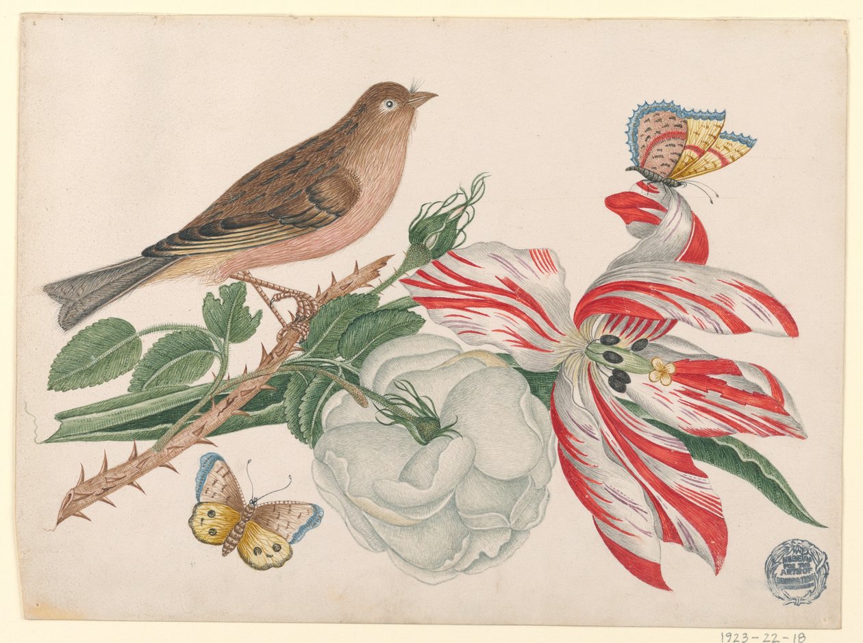 Bruine vogel op tak met roos, tulp en insecten door Unknown artist