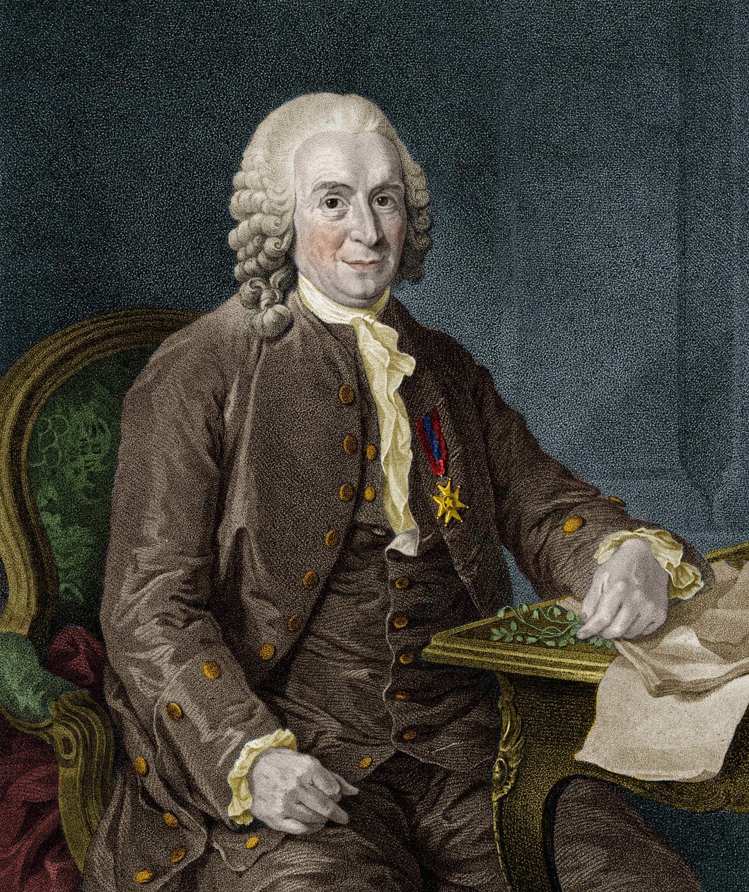 Carl Von Linné, Zweedse natuuronderzoeker en schrijver (1707 - 1778) door Unknown artist