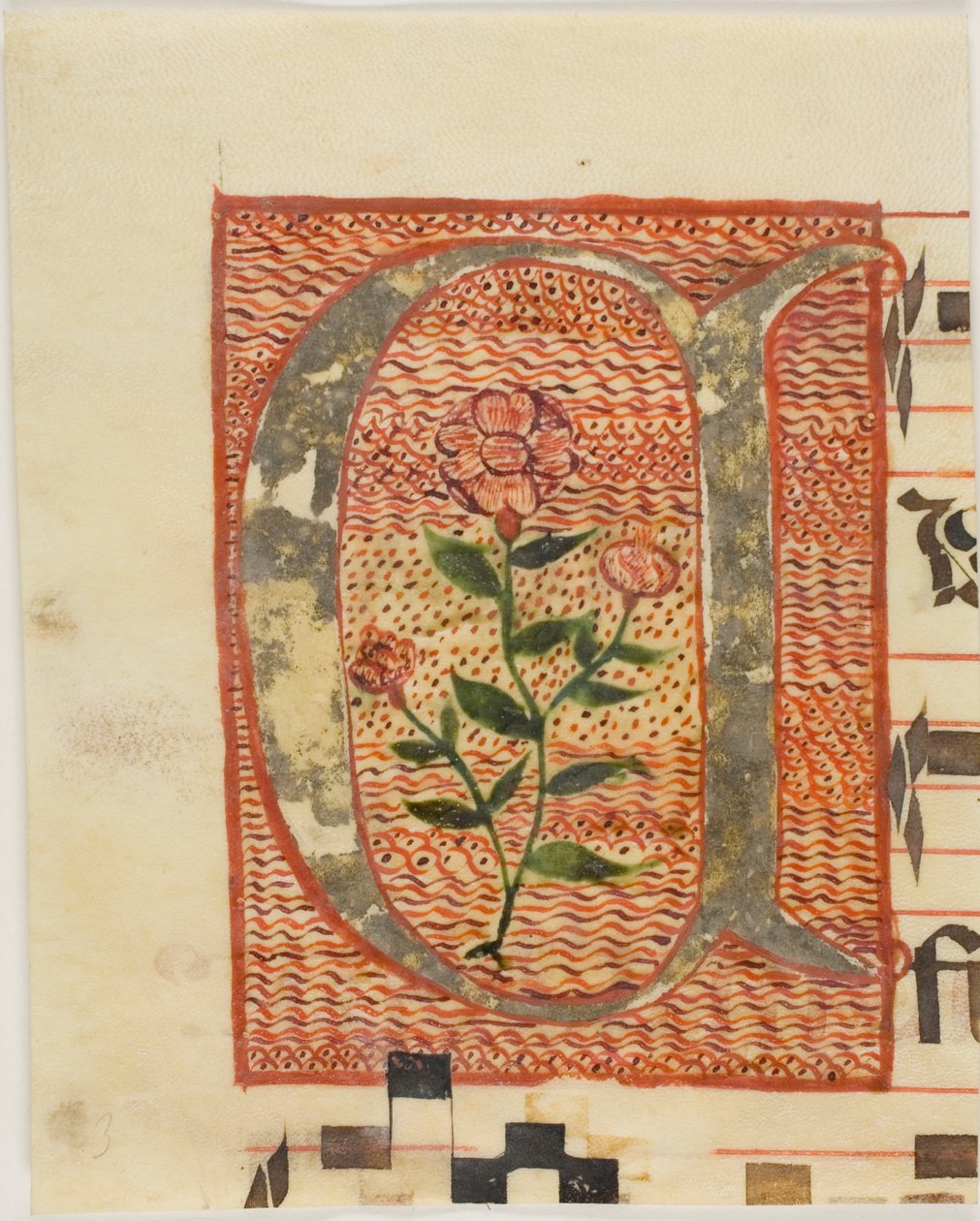 Versierde initiaal "A" met bloem uit een manuscript door Unknown artist