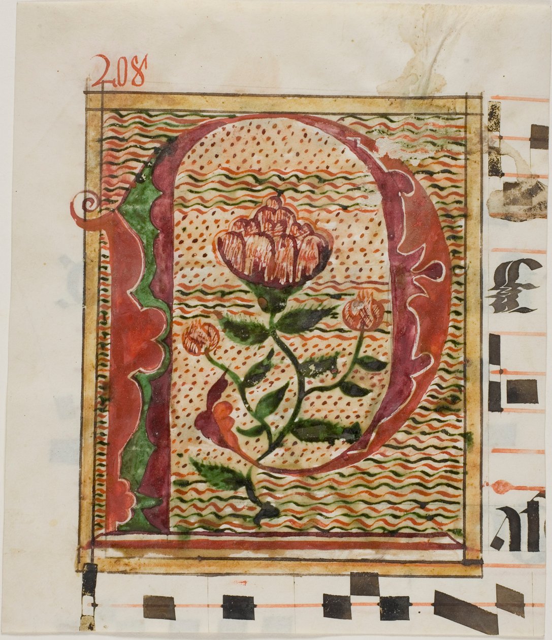 Versierde initiaal "P" met bloemen uit een manuscript door Unknown artist