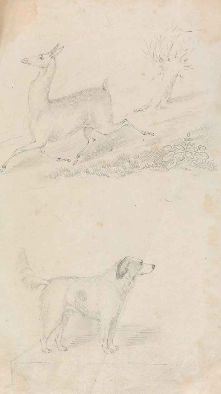 Herten en Hond door Unknown artist