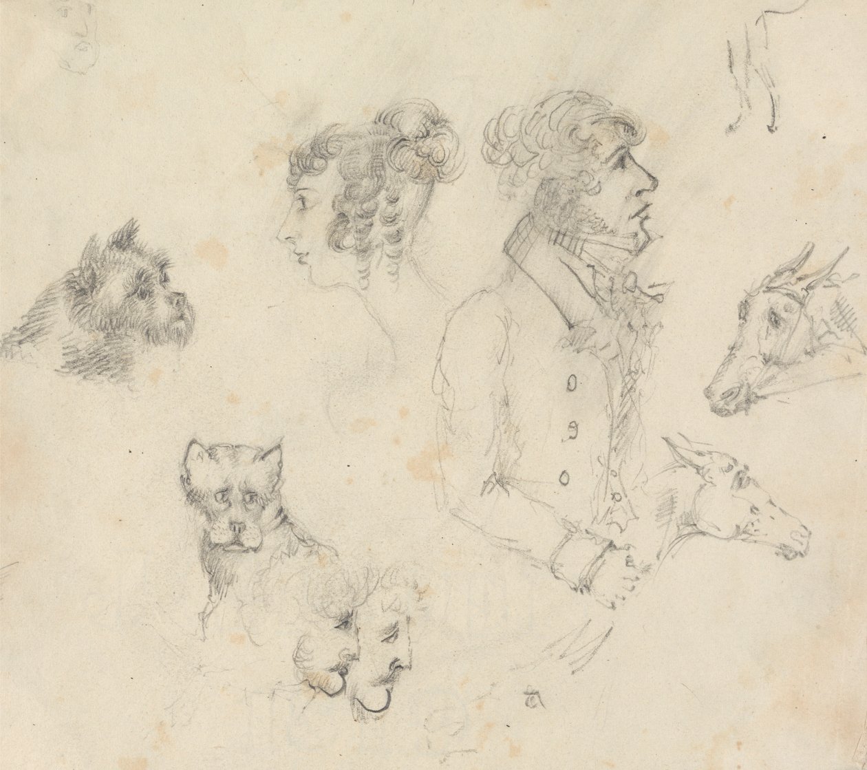 Honden, Mensen en Paarden door Unknown artist