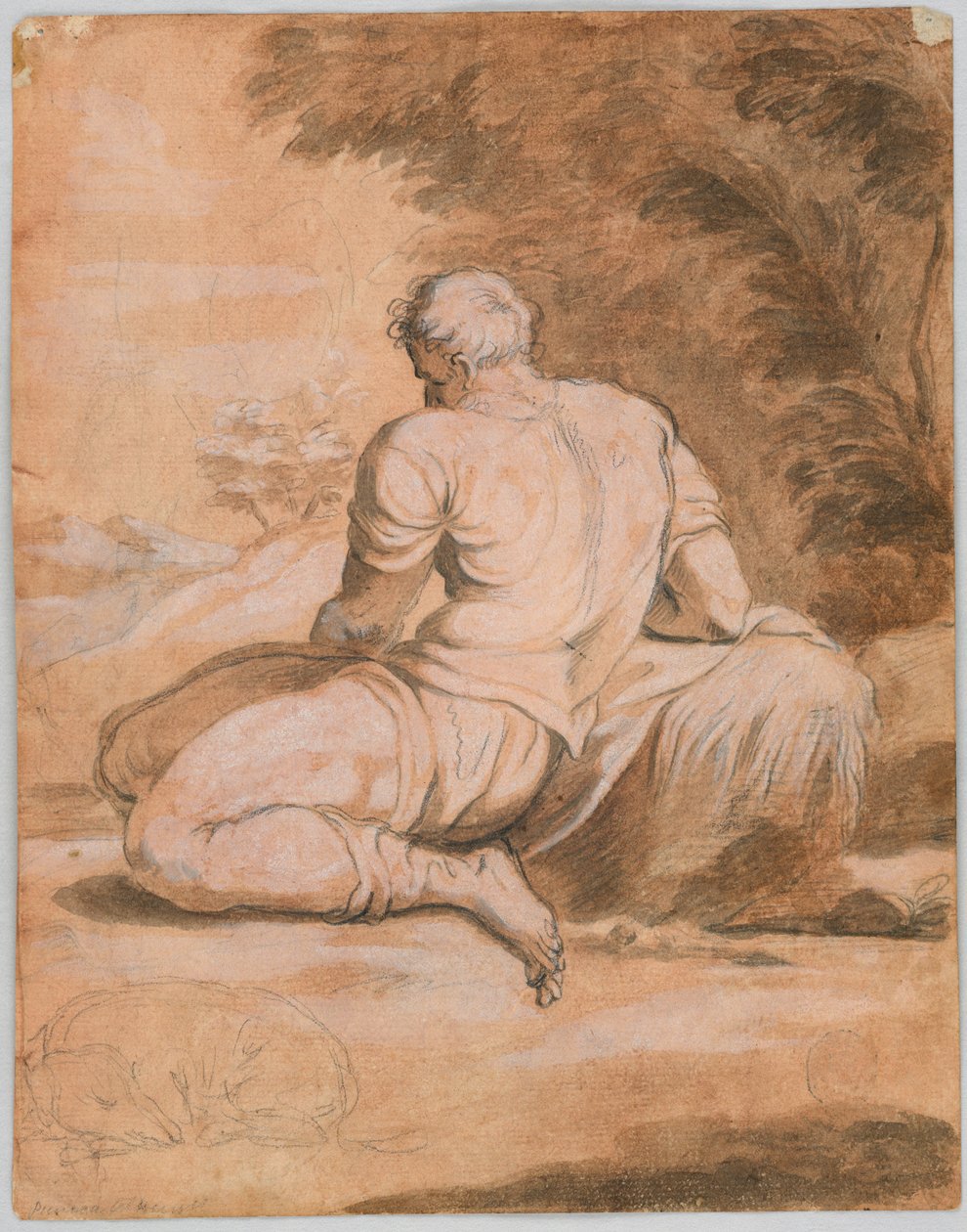 Tekenstudie: Narcissus (?) door Unknown artist