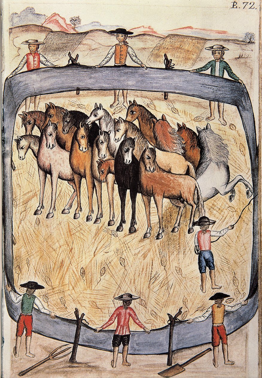 Africhting van wilde paarden, uit het boek "Trujillo del Peru" of "Códice Martínez Compañón", door Baltazar Martinez Compañón y Bujanda, bisschop van Trujillo (1782-1785) door Unknown artist