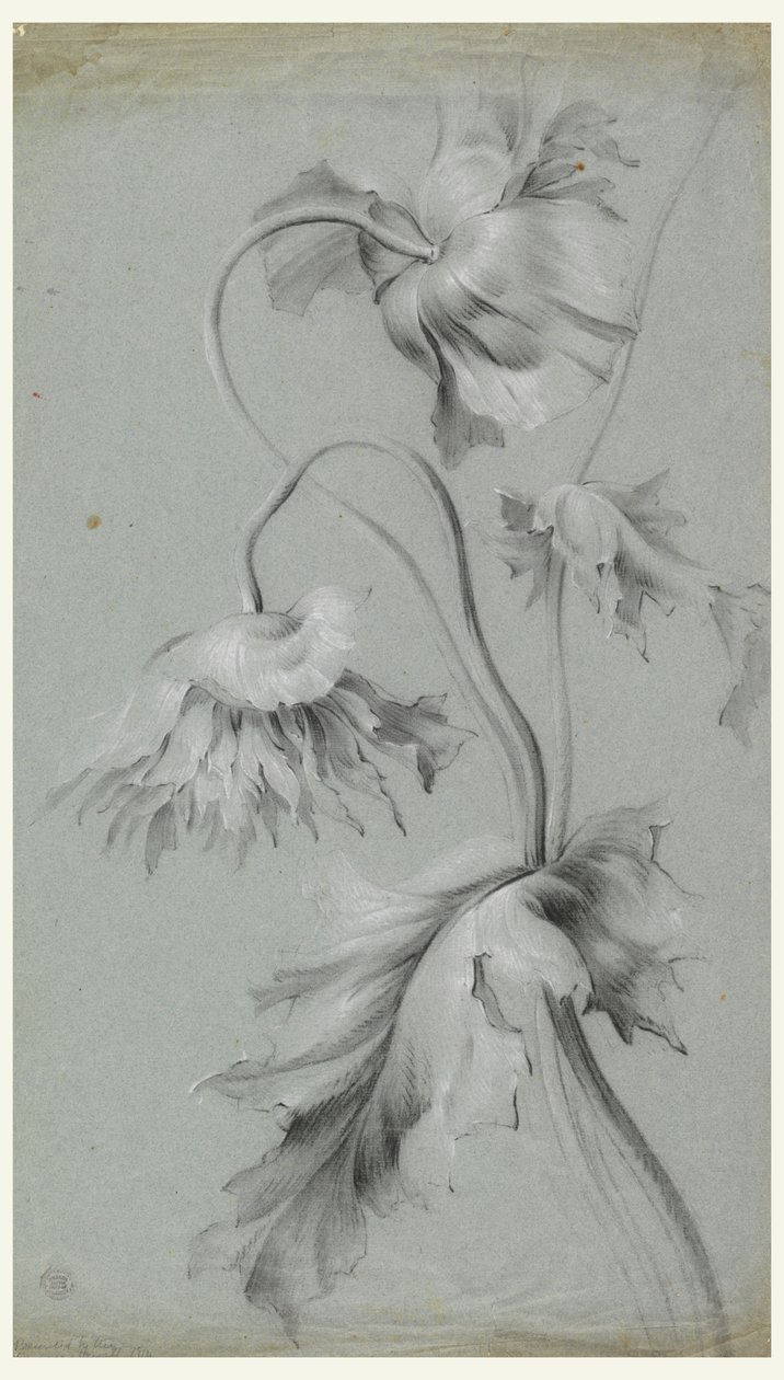 Bloemmotief door Unknown artist